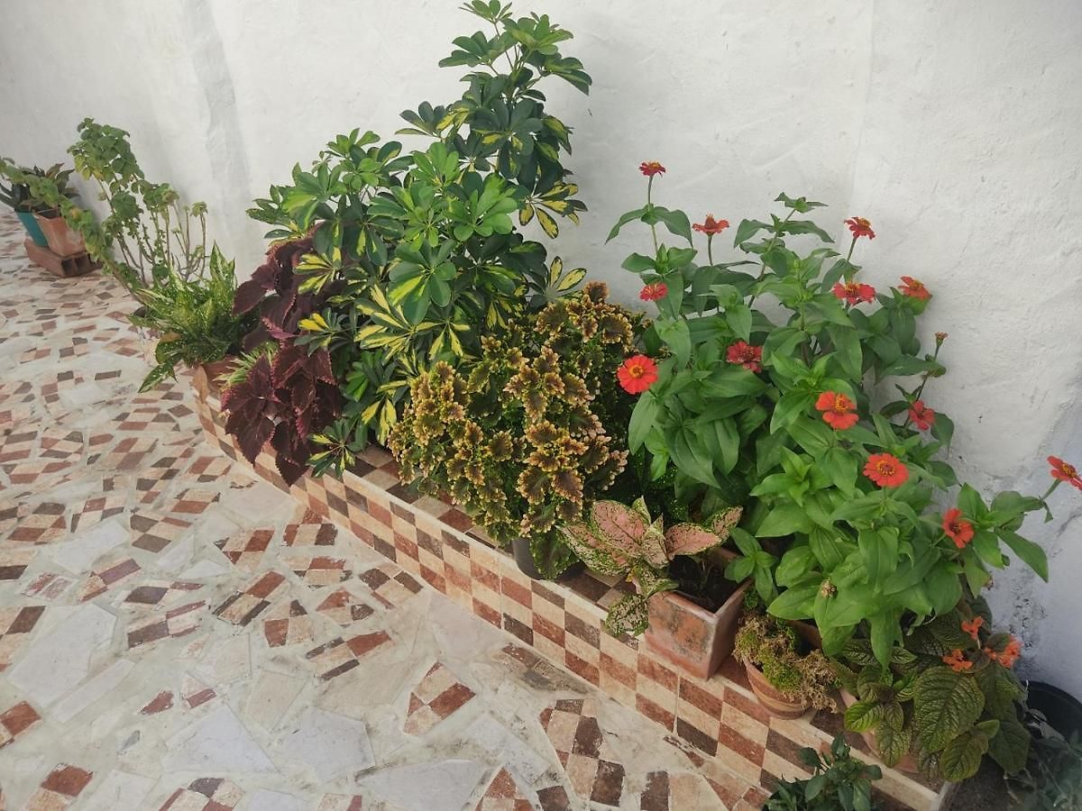 En Casa Pachi De Indias Cartagena