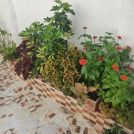 En Casa Pachi De Indias Cartagena